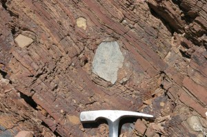 Dropstones in a glacial diamictite from Death Valley, California.