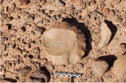 paleolithic stone tool in the Libyan desert